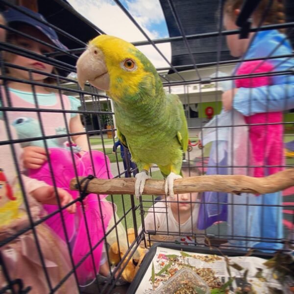 751 terry parrots center™