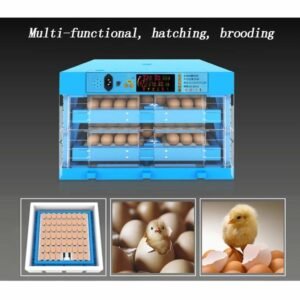 eggs transparent hatching machine. 768x768 3 terry parrots center™
