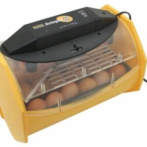 manual egg incubator for hatching 24 chicken eggs or equivalent 768x583 1 terry parrots center™