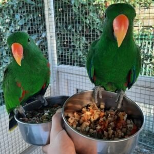 smartselect 20221123 002140 instagram terry parrots center™